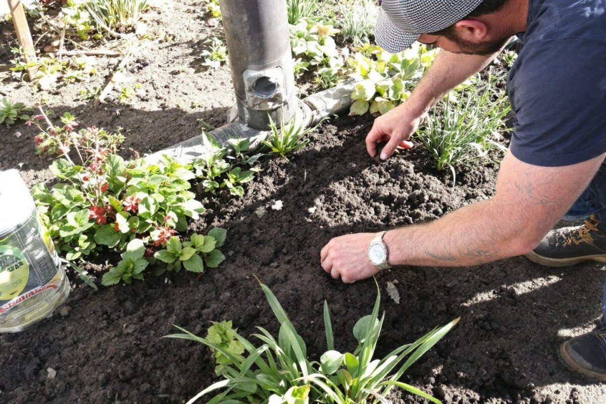 Les meilleures techniques pour le drainage d’un potager en pleine terre