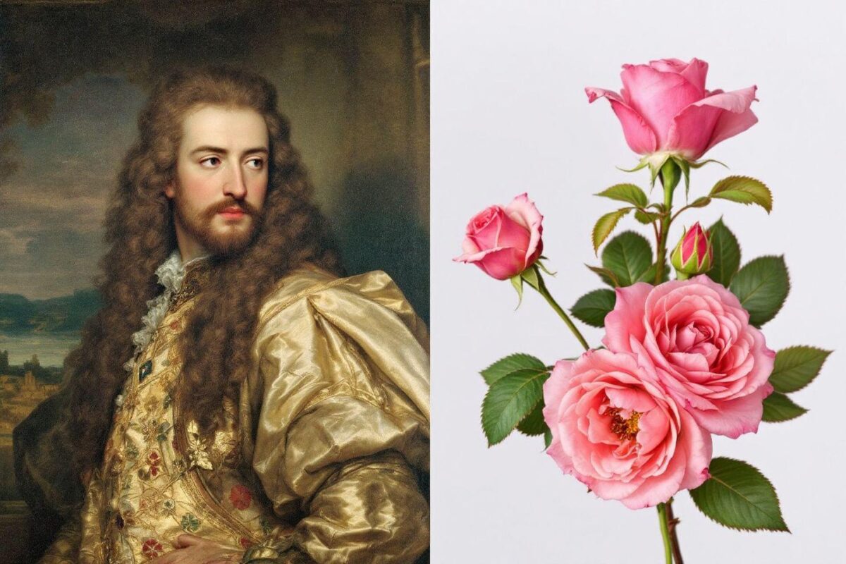 Connaissez-vous la véritable histoire de la rose noire de Turquie ?