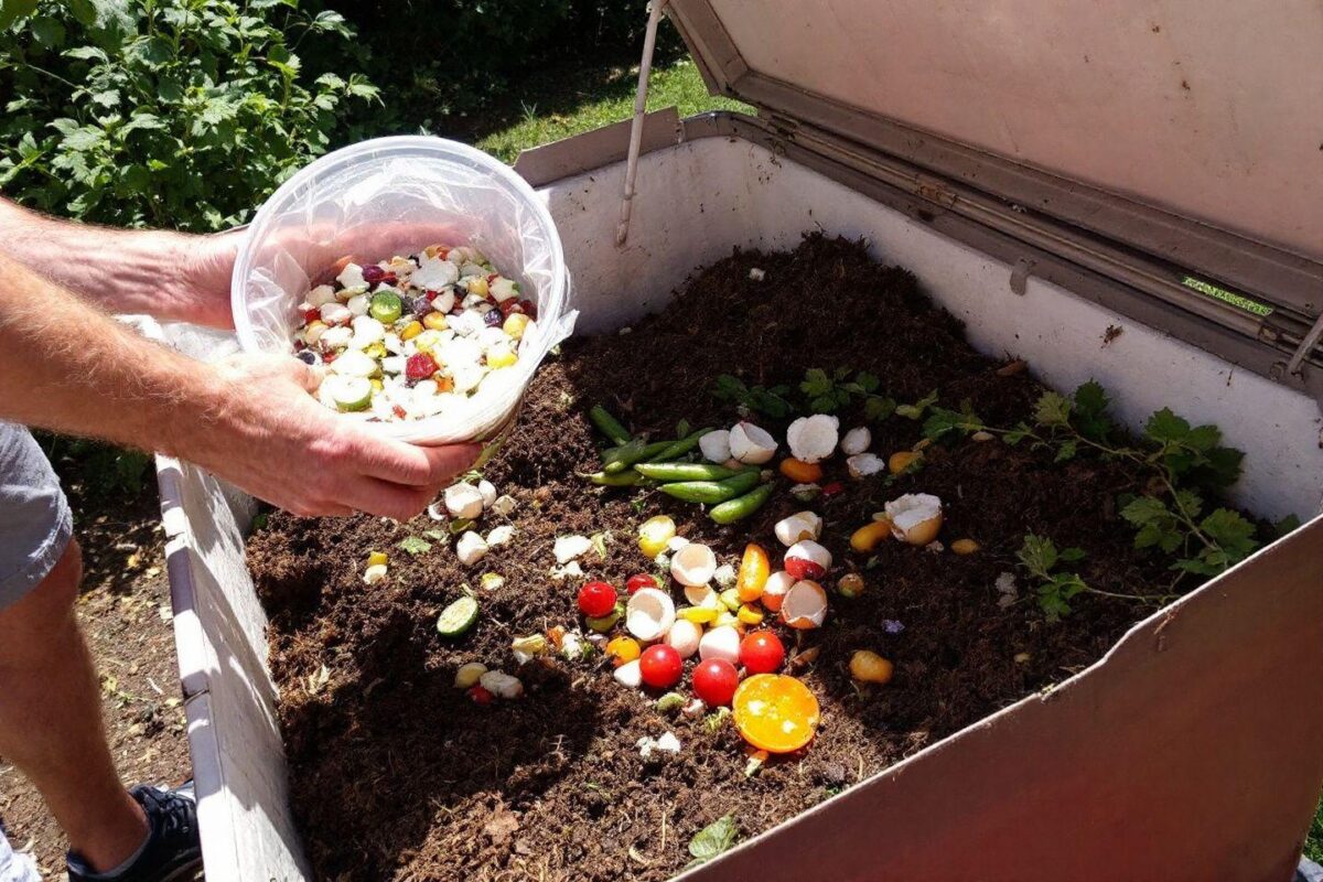 Comment démarrer un compost efficace pour le potager ?