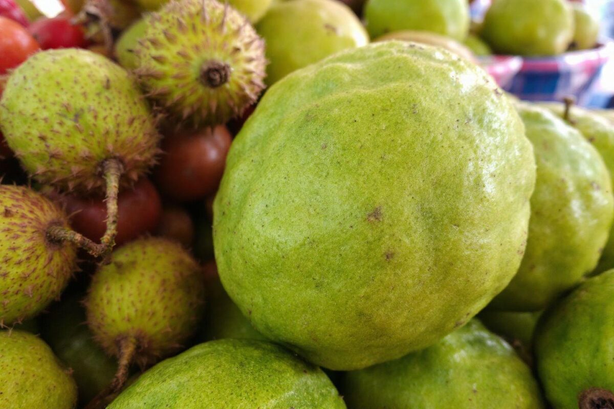 Fruit en f : Quels fruits commencent par la lettre F ? La liste complète