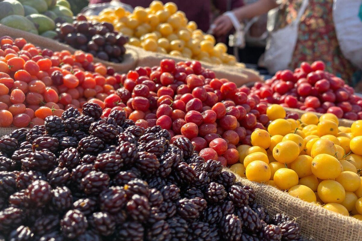 Fruit en V : Vanille, vigne… Quels fruits en V consommer ?