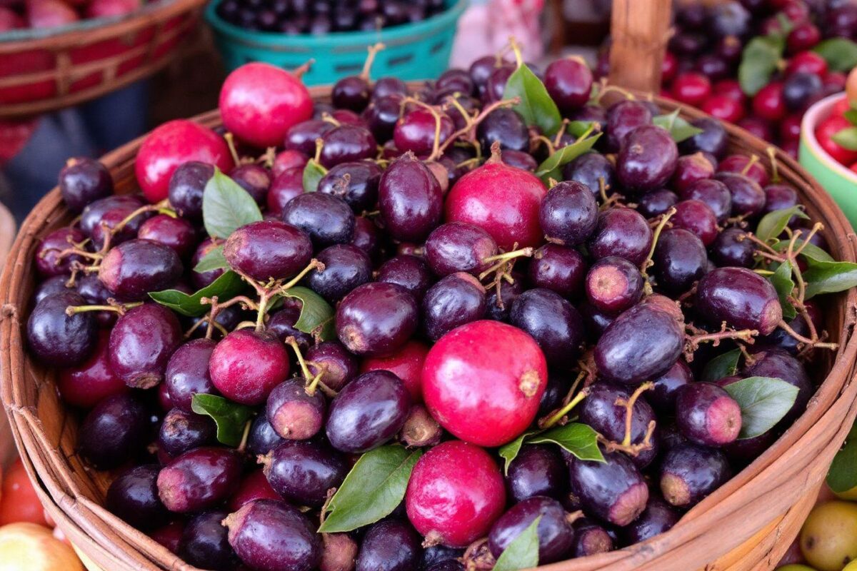 Fruit en S : Sureau, sapotille… la liste des fruits oubliés