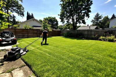Quand tondre sa pelouse pour la première fois après l'hiver ?